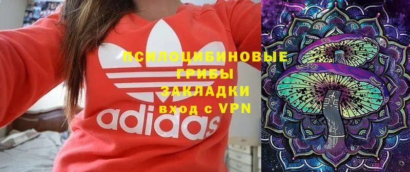 Галлюциногенные грибы прущие грибы  MEGA зеркало  Белорецк  как найти наркотики 